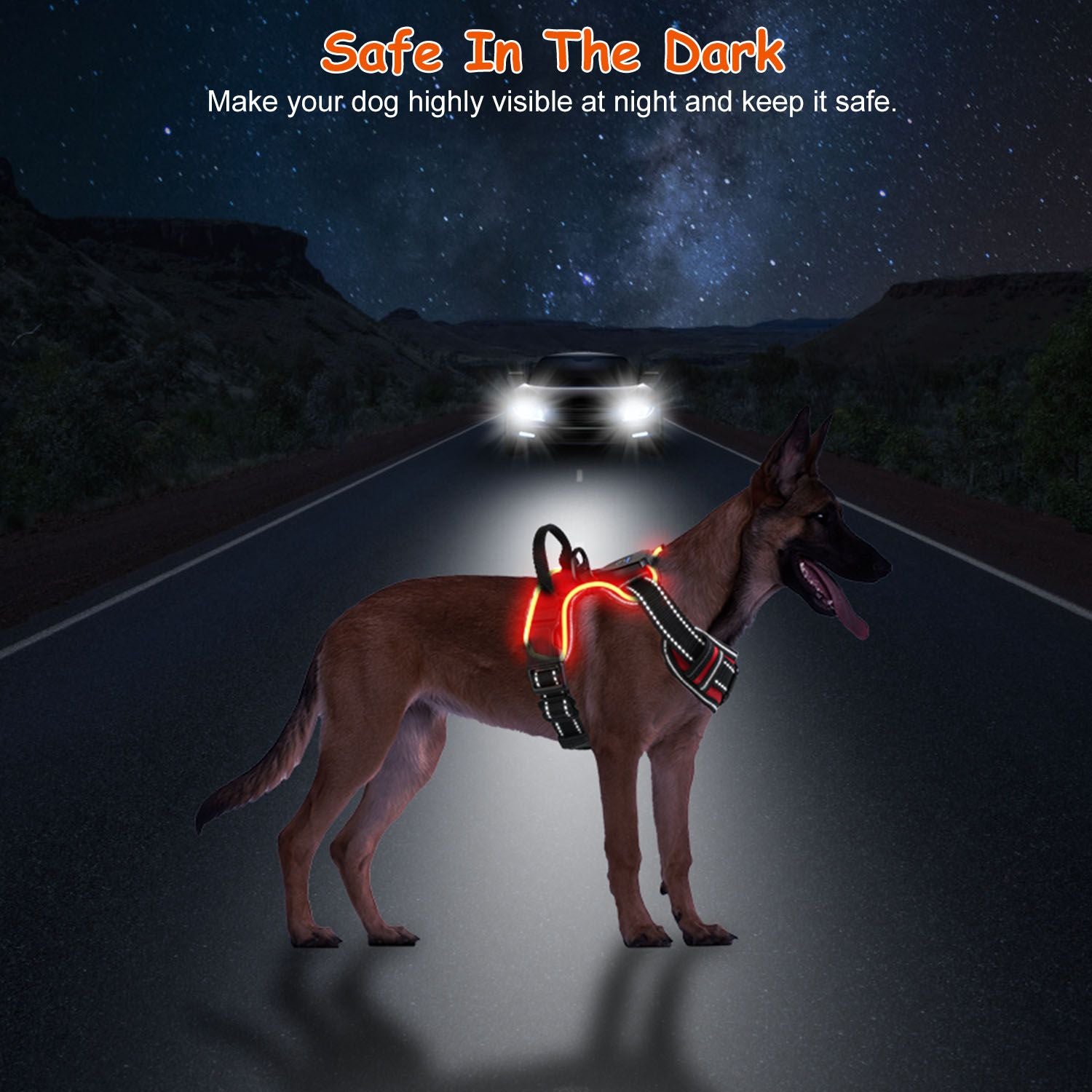 Light Up Dog Harness Rechargeable LED Dog Harness No Pull Lighted Dog Vest with Handle for Small/Medium/Large Dogs.