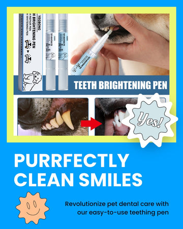 Understanding Pet Dental Health: Why Keeping Your Pet's Teeth Clean is Crucial