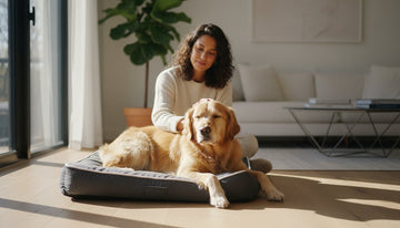 Flea Treatment for Dogs: Keep Your Furry Soulmate Itch-Free in 2026