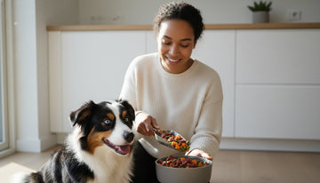 Pet Food & Treats Buying Guide: Fueling Your Furry Soulmate’s Vitality in 2026