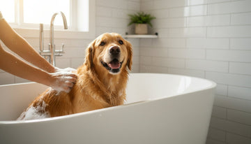 Pet Safe Shampoo: The Ultimate Guide to a Happy, Healthy Bath Time