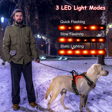Benefits of LED Dog Harness and why responsible pet owners should invest in one! - Firstpetcentral