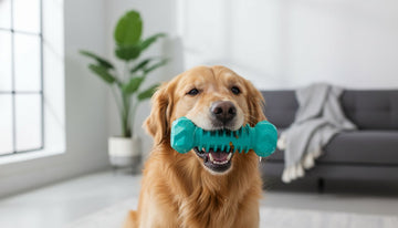 Best Dental Chew Toys for Dogs in 2026: The Ultimate Guide to Sparkling Smiles - Firstpetcentral