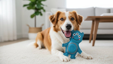 Best Plush Dog Toys with Squeakers: A 2026 Guide to Squeaks, Snuggles, and Smiles - Firstpetcentral