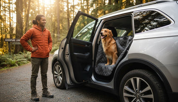 Dog Car Seat Covers: The Ultimate Guide to Cleaner, Safer Rides - Firstpetcentral