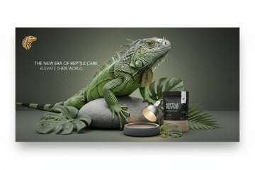 Introducing First Pet Central's New Reptile Collection: Premium Care for Your Scaly Friends - Firstpetcentral