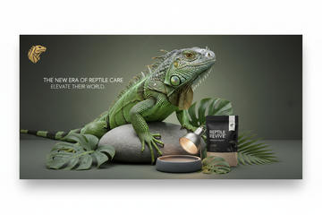 Introducing First Pet Central's New Reptile Collection: Premium Care for Your Scaly Friends