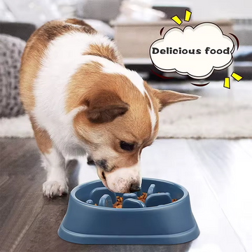 PETS FEEDING
