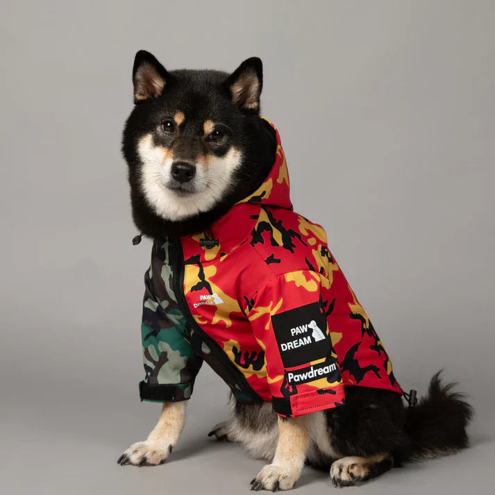 Dog Apparel & Accessories