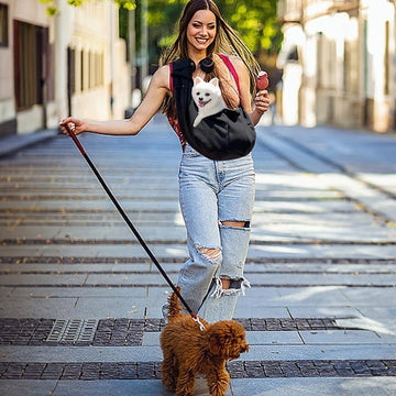 Pet Travel & Adventure Gear – Durable Carriers, Bowls & Accessories | Firstpetcentral