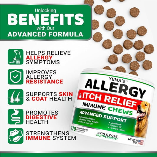 2 Pack Dog Allergy Relief Chews – Anti - Itch & Skin Support - Firstpetcentral