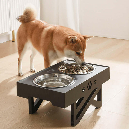 Adjustable Stainless Steel Pet Feeder Bowl – Folding Elevated Dog & Cat Bowl.