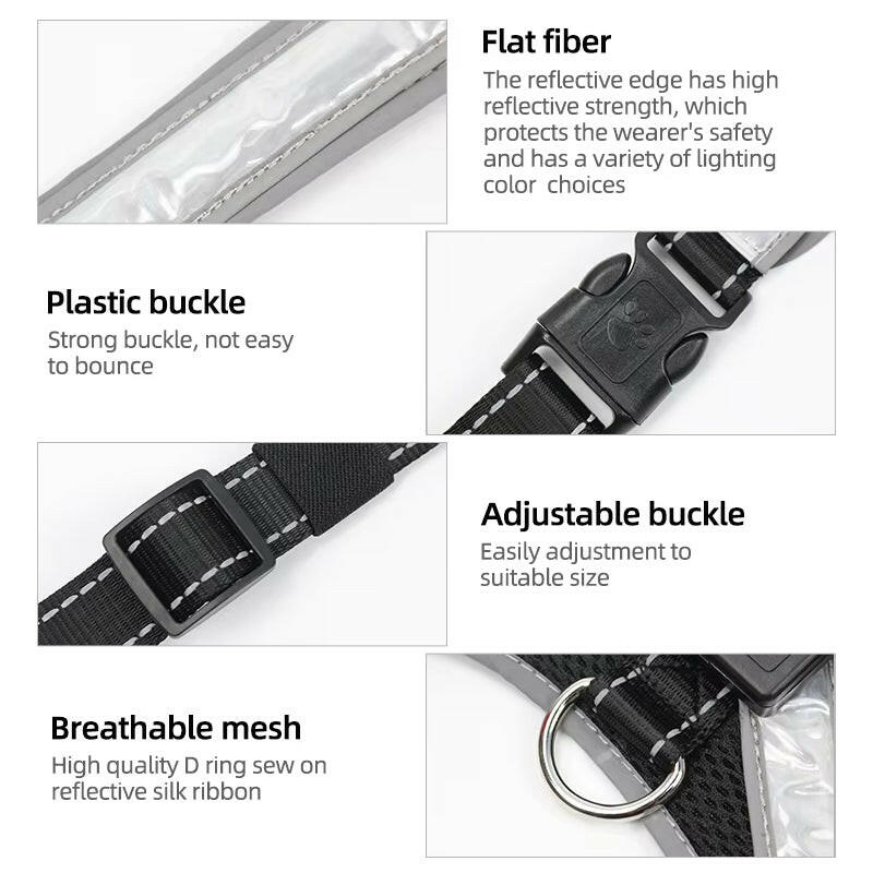 Explosion-Proof Pet Gear, Flushable Pads, LED Collars, Clothes & Braces.