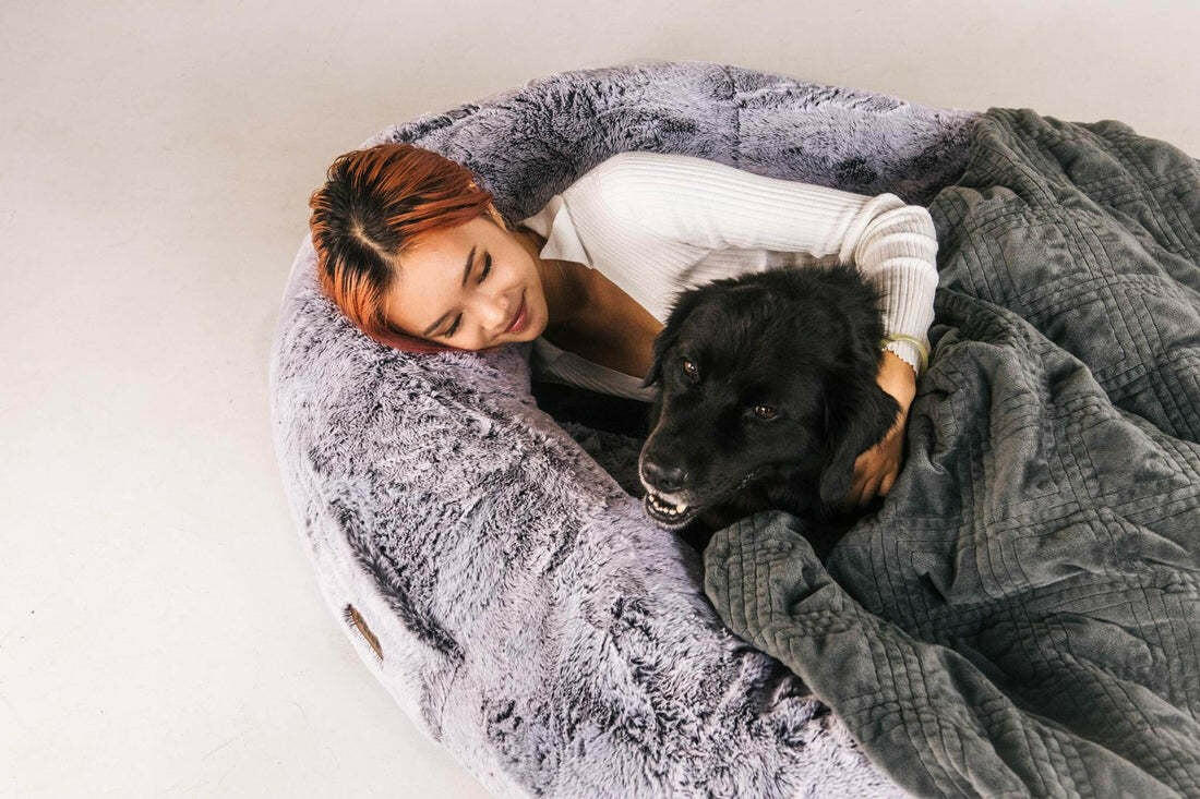 Dog Bed for Humans Portable Pet Bed Giant Dog Bed Human Bed Cat Bed Dog Bed.
