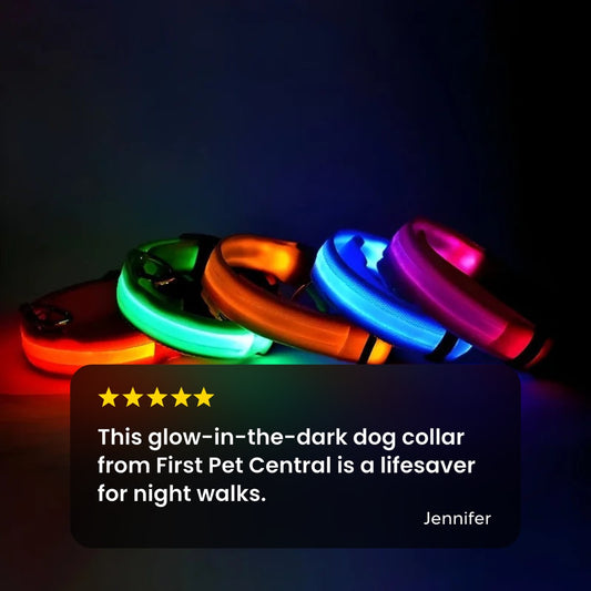 LED Night Safety Flashing Glow In The Dark Luminous Fluorescent Dog Collar