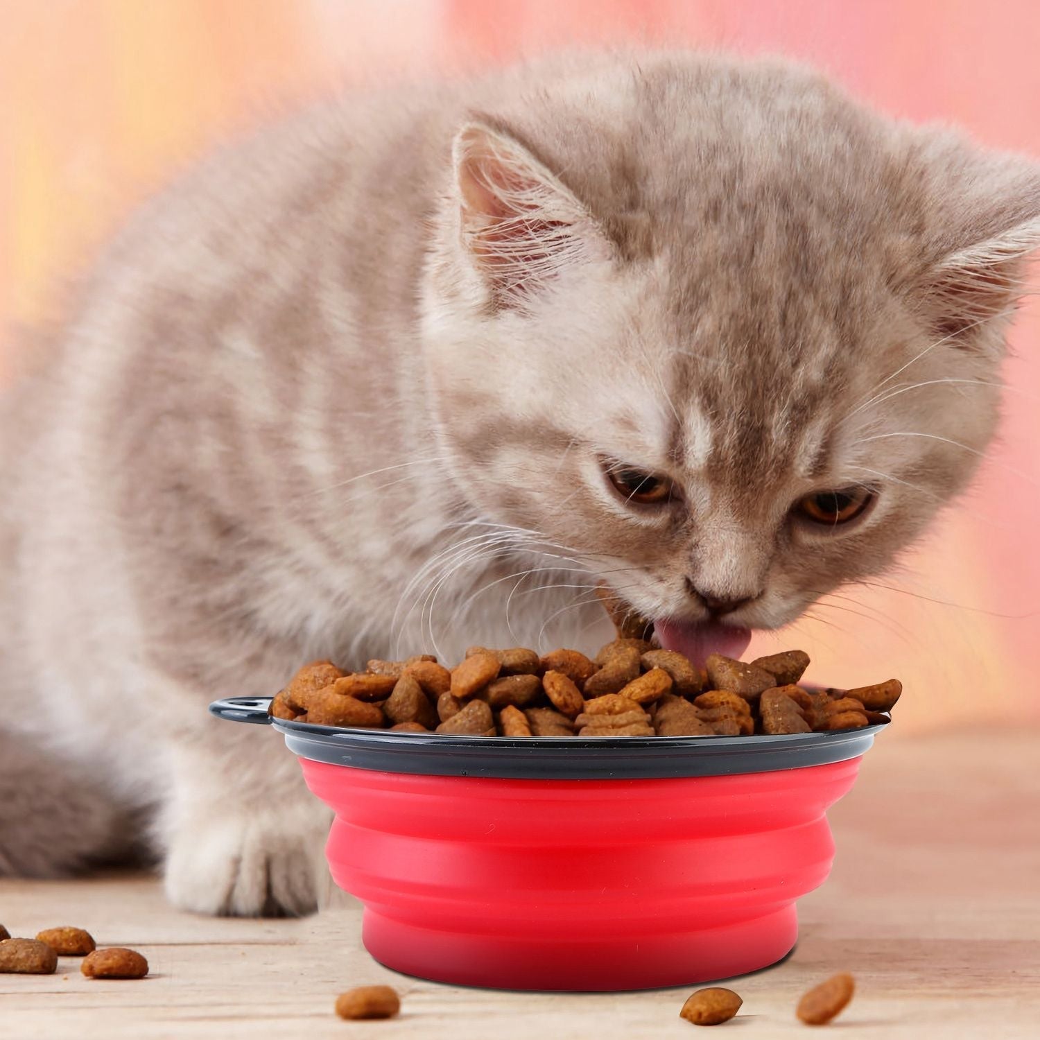 4 - Pack Silicone Collapsible Dog Bowls – BPA - Free Travel & Outdoor Pet Bowls - Firstpetcentral