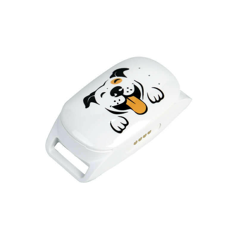 4G GPS Pet Tracker Collar – Waterproof Anti - Loss with GPS + BeiDou - Firstpetcentral