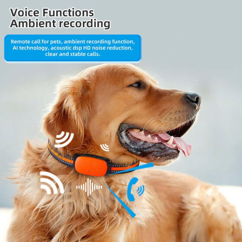 4G GPS Pet Tracker Collar – Waterproof Anti - Loss with GPS + BeiDou - Firstpetcentral