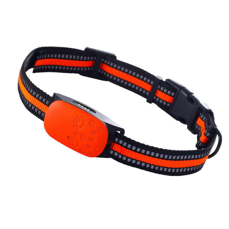 4G GPS Pet Tracker Collar – Waterproof Anti - Loss with GPS + BeiDou - Firstpetcentral
