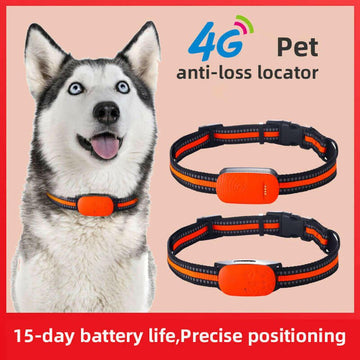 4G GPS Pet Tracker Collar – Waterproof Anti - Loss with GPS + BeiDou - Firstpetcentral