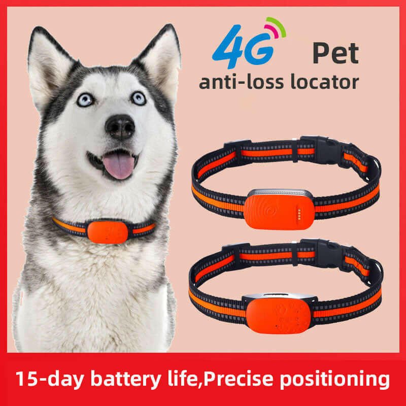 4G GPS Pet Tracker Collar – Waterproof Anti - Loss with GPS + BeiDou - Firstpetcentral
