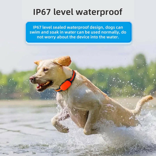 4G GPS Pet Tracker Collar – Waterproof Anti - Loss with GPS + BeiDou - Firstpetcentral