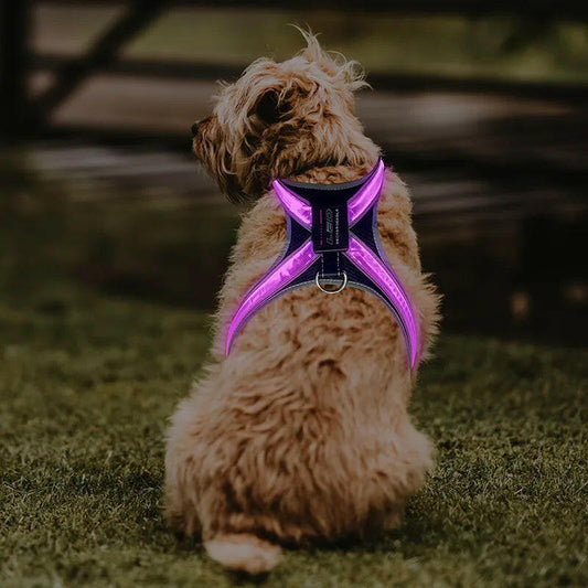 Explosion-Proof Pet Gear, Flushable Pads, LED Collars, Clothes & Braces.