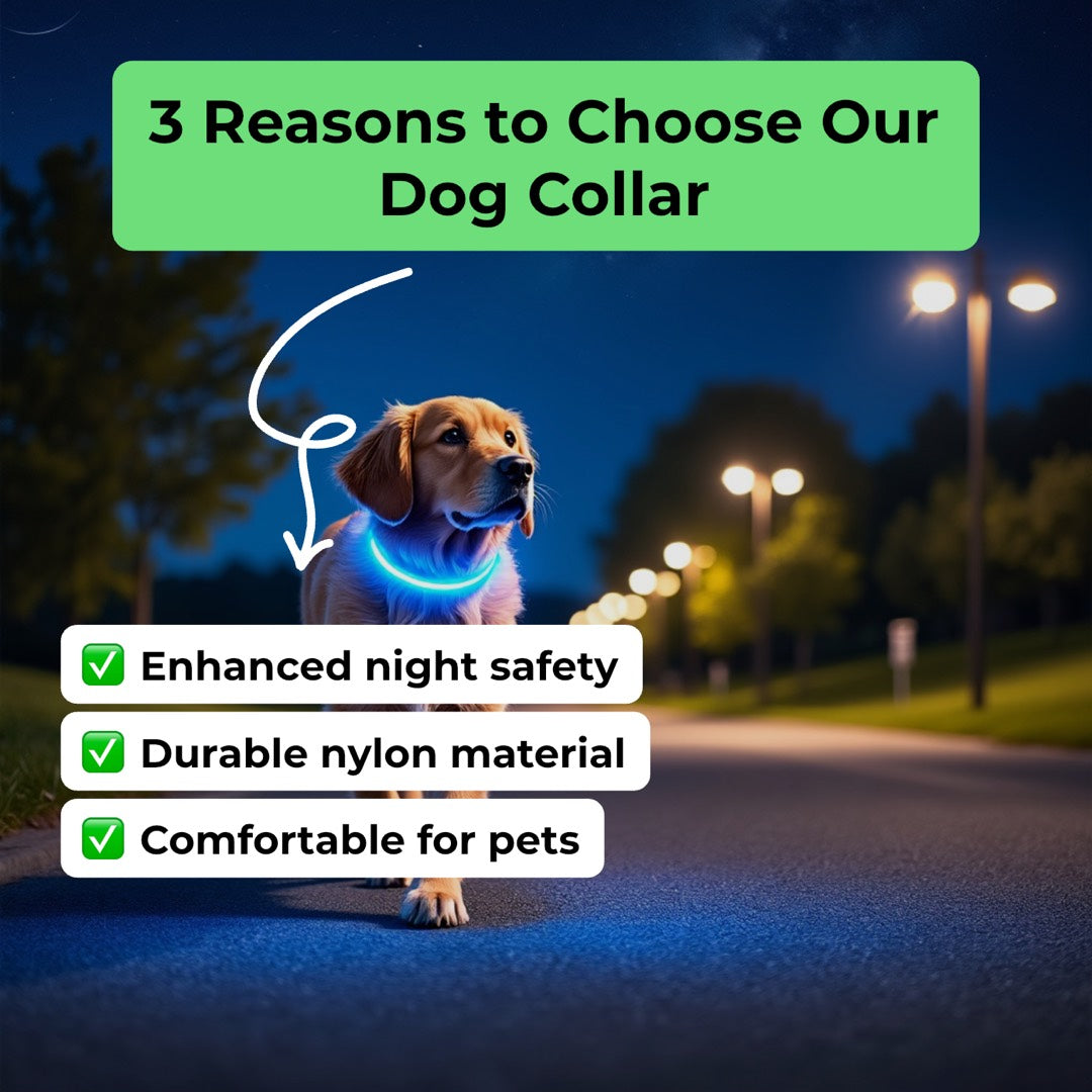 LED Night Safety Flashing Glow In The Dark Luminous Fluorescent Dog Collar