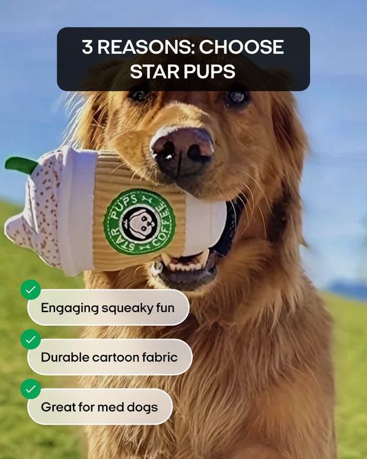 Star Pups Coffee Plush Squeaky Toy for Dogs - Cartoon Patterned Fabric, Medium Breed Recommended, Interactive Pumpkin Spice