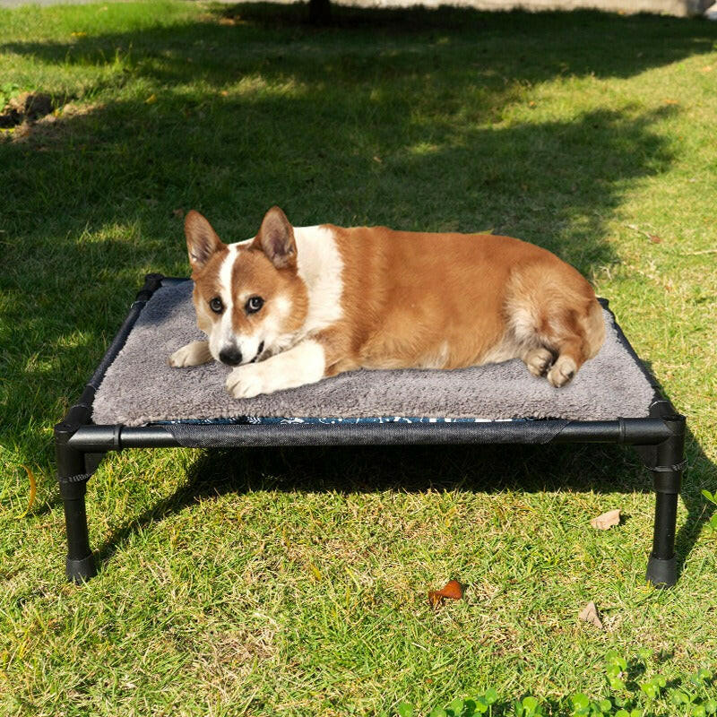 first pet central