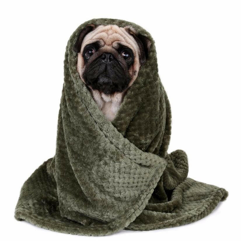 Blanket,Pet,Dog,Warm.