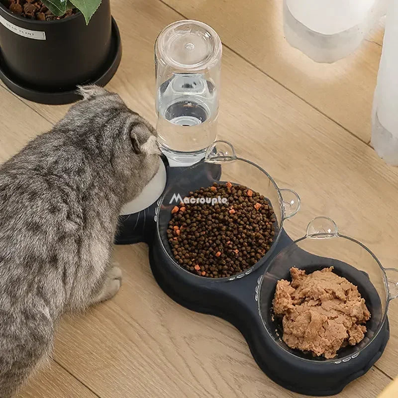 3-in-1 Automatic Pet Feeder & Water Fountain – Elevated Cat & Dog Food Bowl Set.