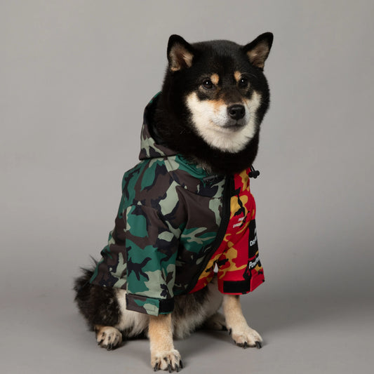 PawDream Dog Clothes Raincoat For Small Big Dogs Wind Coat Windbreaker French Bulldog Hoodie For Dogs Clothes Jacket Chihuahua.