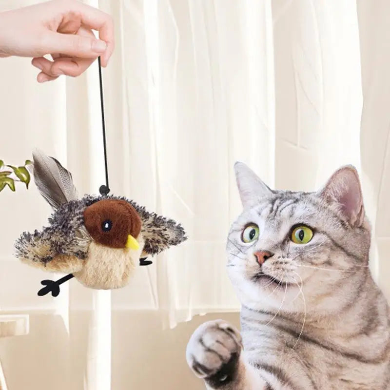 Chirping bird cat toy with Catnip Adjustable Touch Activated Squeak Plush Cat Toy Rechargeable Chirping Flapping Bird for Pet.
