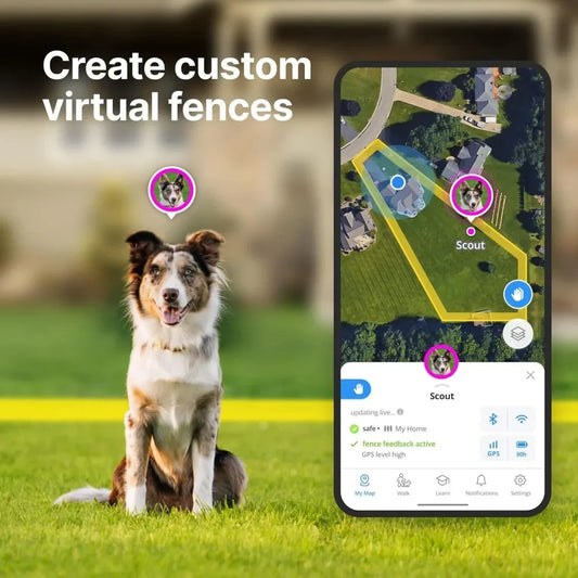 High quality All New GPS Wireless Dog Fence & Training Collar with Real-Time Tracking, Waterproof, One Size (4 Colors)