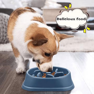 Anti - Tip Slow Feeder Dog Bowl – Large Non - Slip Pet Food Bowl for Fast Eaters - Firstpetcentral