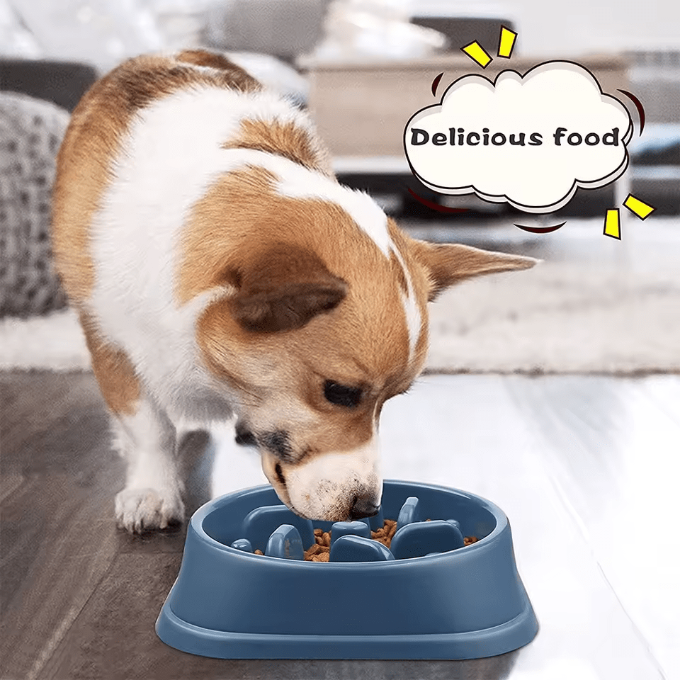 Anti - Tip Slow Feeder Dog Bowl – Large Non - Slip Pet Food Bowl for Fast Eaters - Firstpetcentral