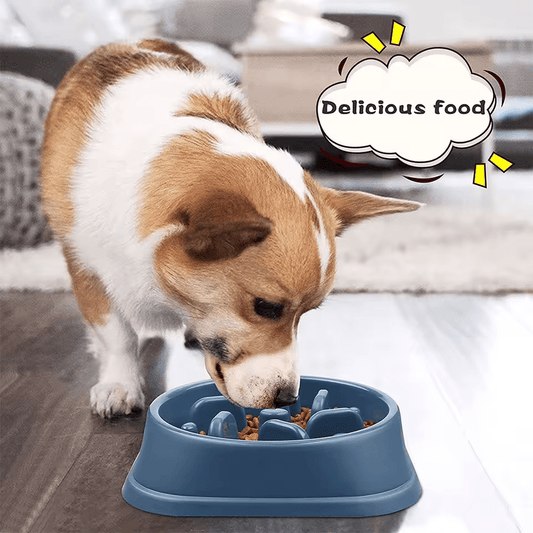 Anti - Tip Slow Feeder Dog Bowl – Large Non - Slip Pet Food Bowl for Fast Eaters - Firstpetcentral
