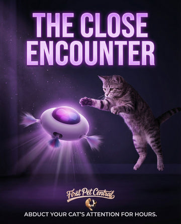 Automatic Cat Feather Teaser Toy - Interactive Electric UFO Toy - Firstpetcentral