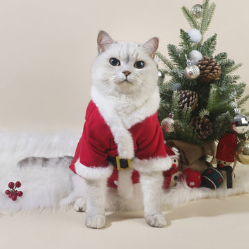 Autumn And Winter New Christmas Pet Cat Dog Pet Clothes - Firstpetcentral