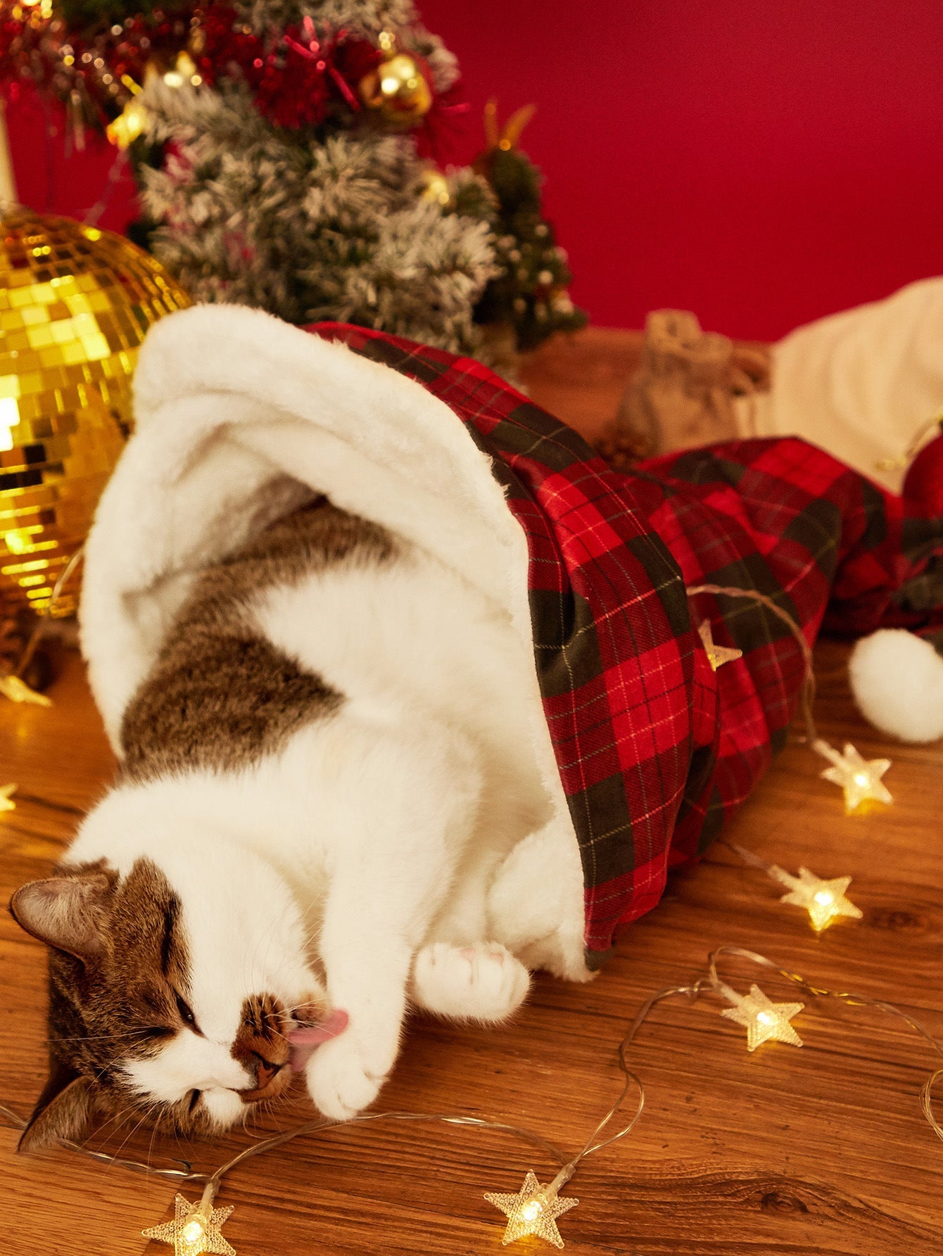 Christmas Igloo Cat House Pet Mats Are Sized Kennels - Firstpetcentral