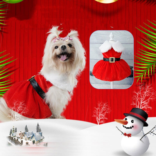 Christmas Pet Dress Up Gold Velvet Fabric - Firstpetcentral