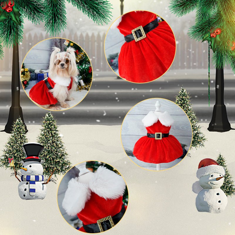 Christmas Pet Dress Up Gold Velvet Fabric - Firstpetcentral