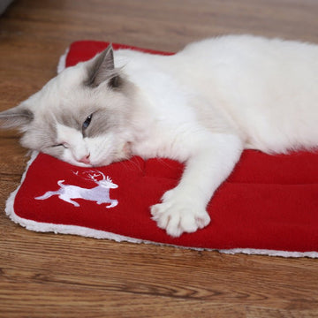 Christmas Pet Mat Super Soft Dog Mat For Christmas - Firstpetcentral