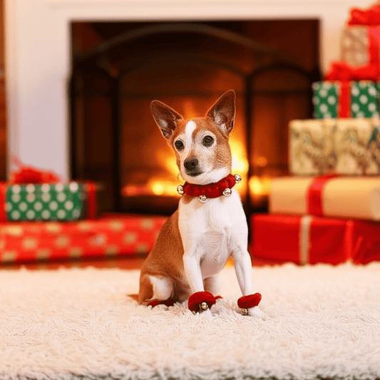 Christmas Pet Ring Bell Decorative Set Holiday Dressing Dog Neck Fringe with Foot Cover Bell Set; dog collar; cat collar - Firstpetcentral
