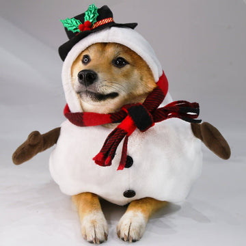 Christmas Snowman Halloween Day Clothes Funny Transformation Dog Clothes Cat Pet Clothing - Firstpetcentral
