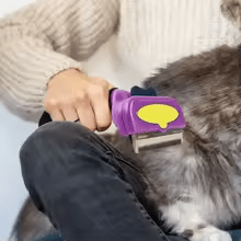 Combs Dog Hair Remover Cat Brush Grooming Tools Detachable Pet Trimmer Combs - Firstpetcentral