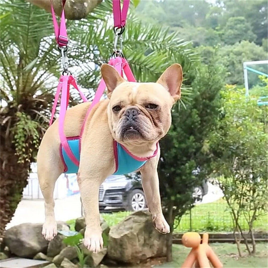 Cross - border pet cat and dog grooming hammock small and medium - sized dog grooming pet cleaning aids - Firstpetcentral