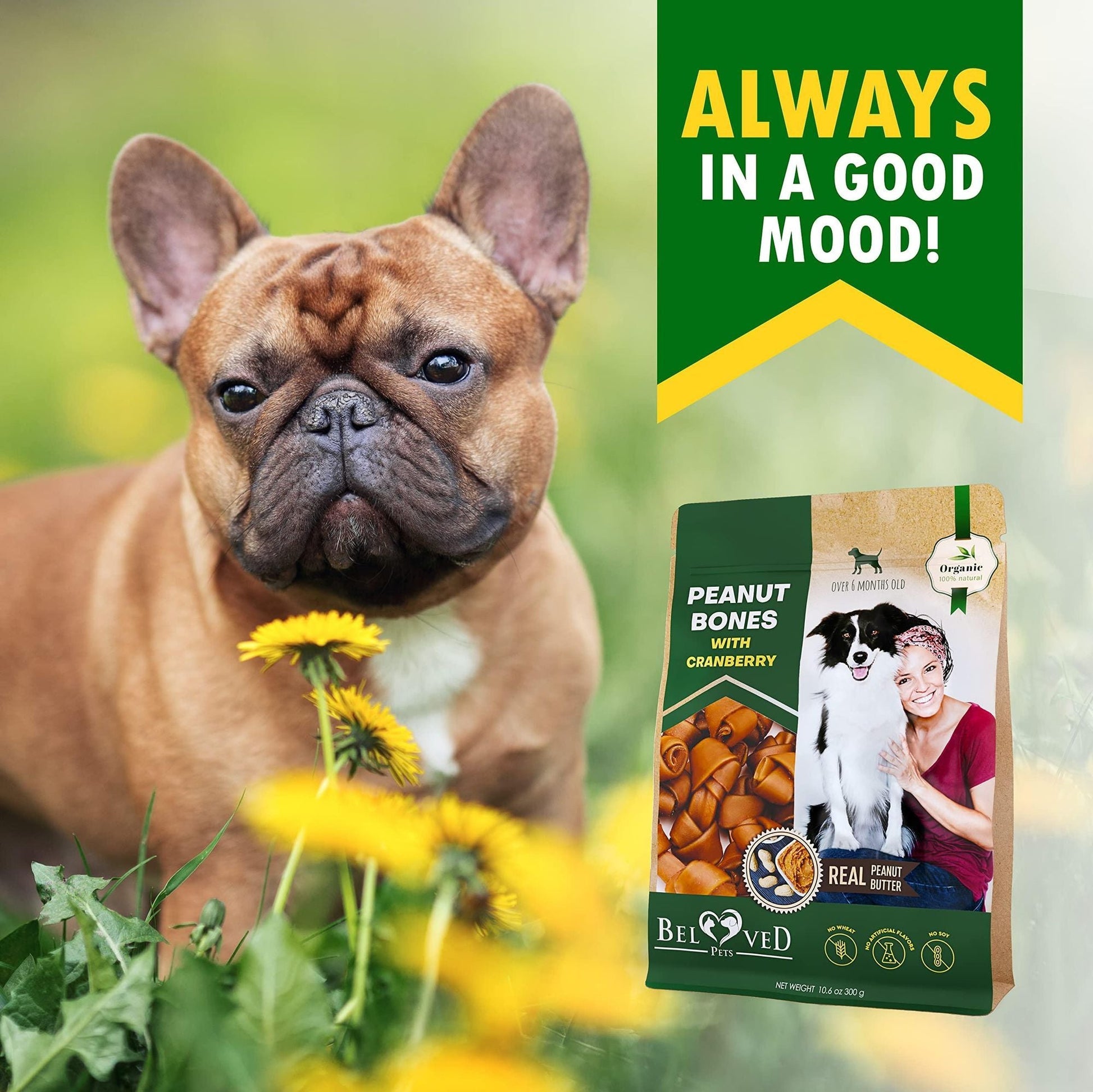 Dog Peanut Butter & Cranberry Bones – Rawhide - Free Chew Treats for Small & Large Dogs - Firstpetcentral