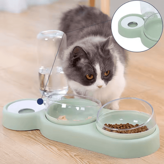 Double Cat & Dog Bowl with Automatic Water Dispenser – Anti - Spill Pet Feeding Station - Firstpetcentral